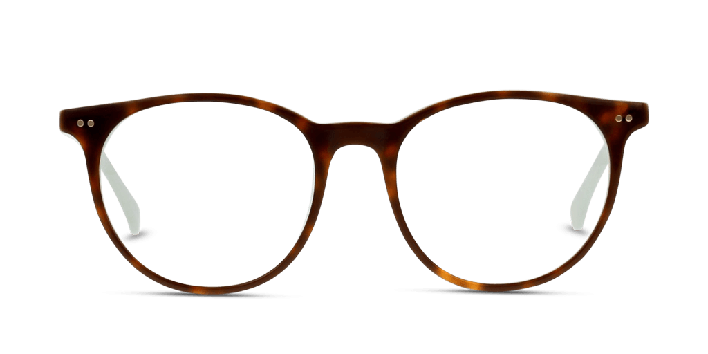 Ted Baker TB9126 521 női havana színű pantó formájú szemüveg