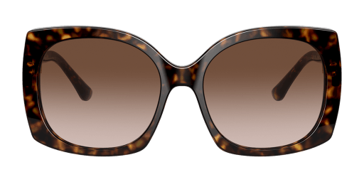 Dolce and Gabbana DG4385 502/13