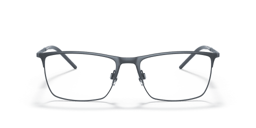 Dolce and Gabbana 0DG1309 Dolce and Gabbana 0DG1309