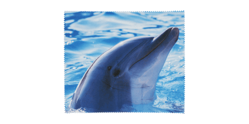 Vision Express TORLO 16X18 DELFIN