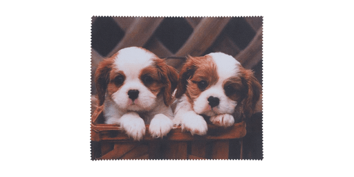 Vision Express TORLO BEAGLE Vision Express TORLO BEAGLE