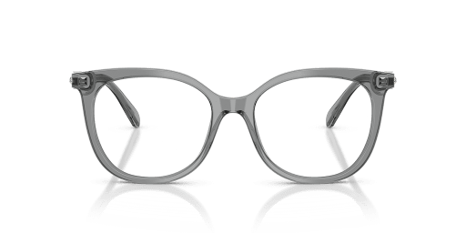 Swarovski 0SK2055 Swarovski 0SK2055