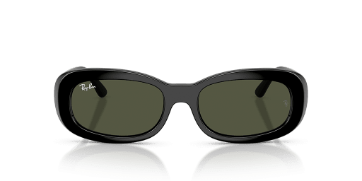 Ray-Ban 0RB2221
