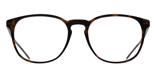 Polo Ralph Lauren PH2225 férfi havana színű pantó formájú szemüveg