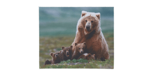 Vision Express TORLO MEDVE uniszex kiegészítő