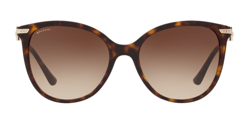 Bvlgari BV8201B 504/13