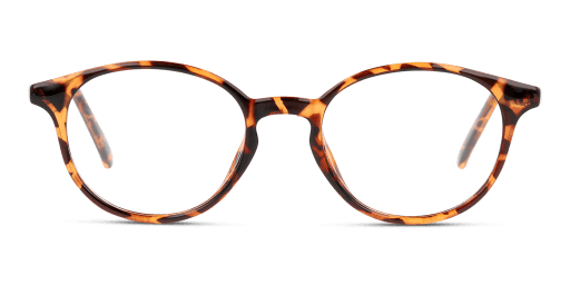 Seen SNOU5006 női havana színű pantó formájú szemüveg