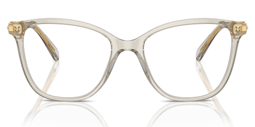 Swarovski 0SK2020